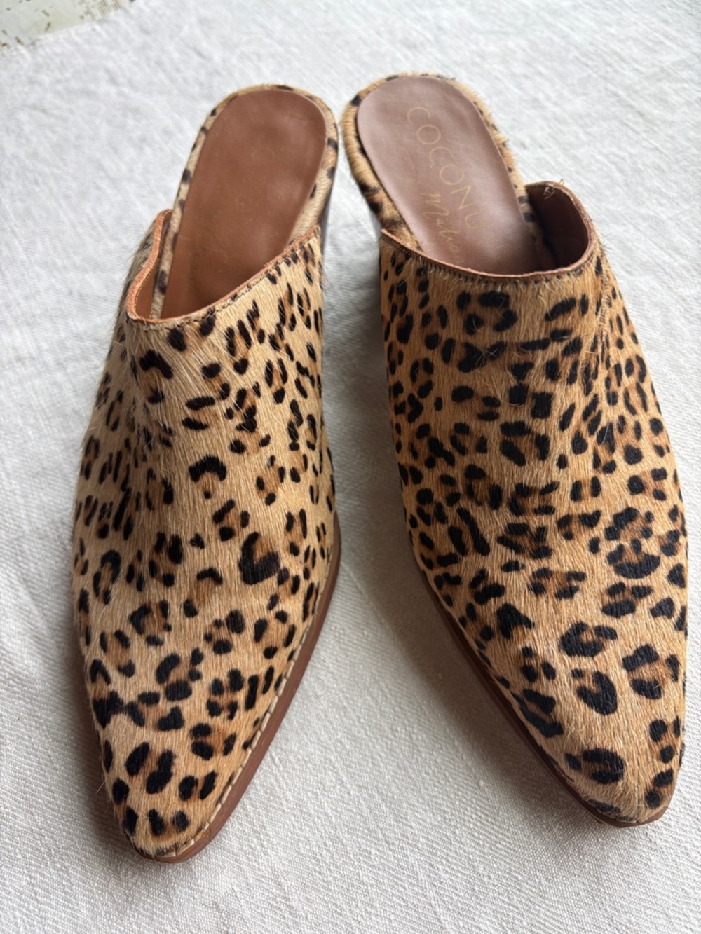 Coconuts by Matisse Leopard Mules